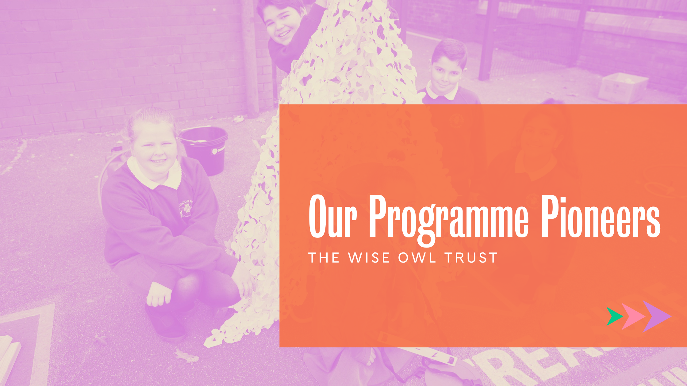 Our Programme Pioneers The Wise Owl Trust