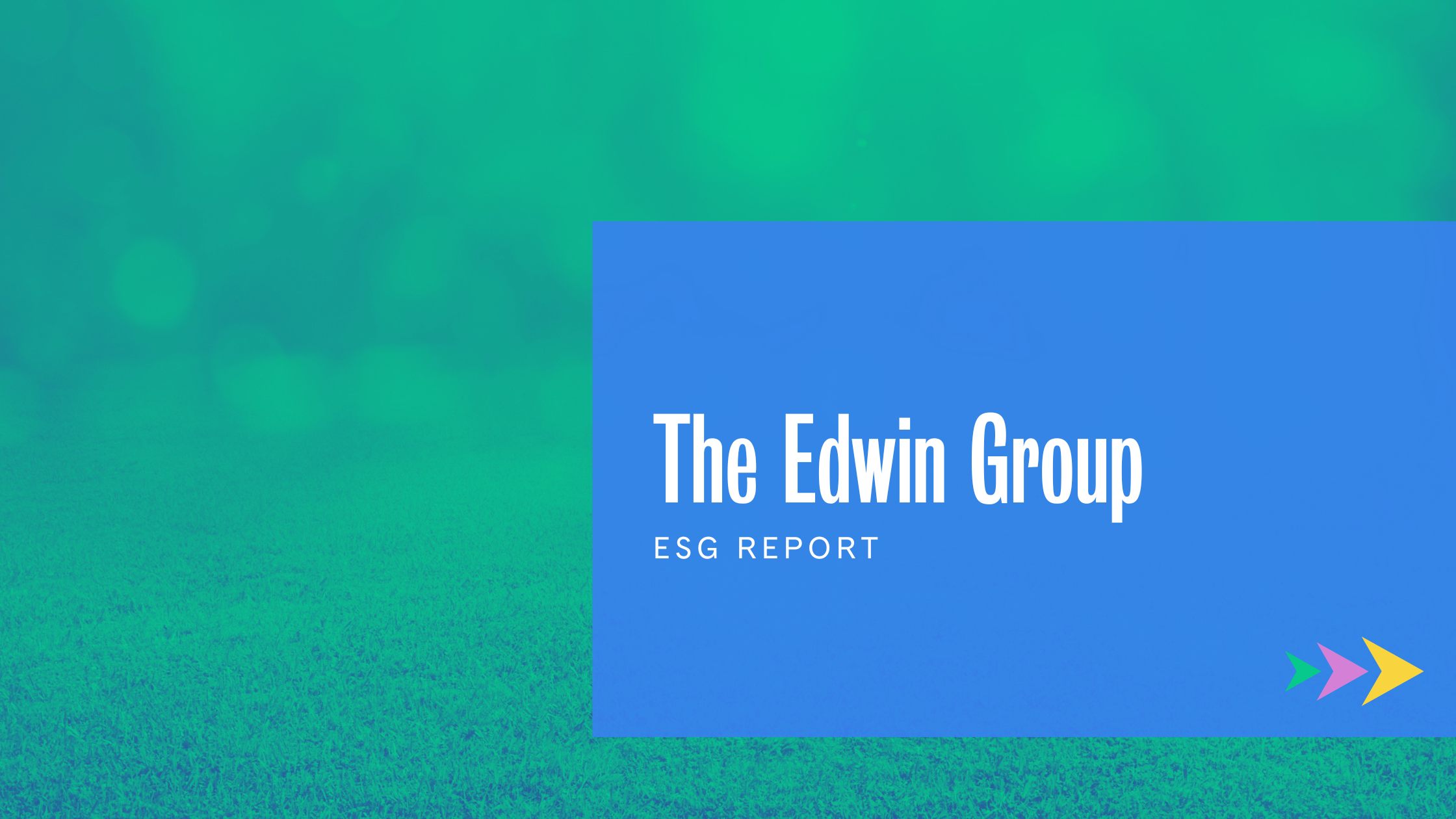 The Edwin Group – ESG Report