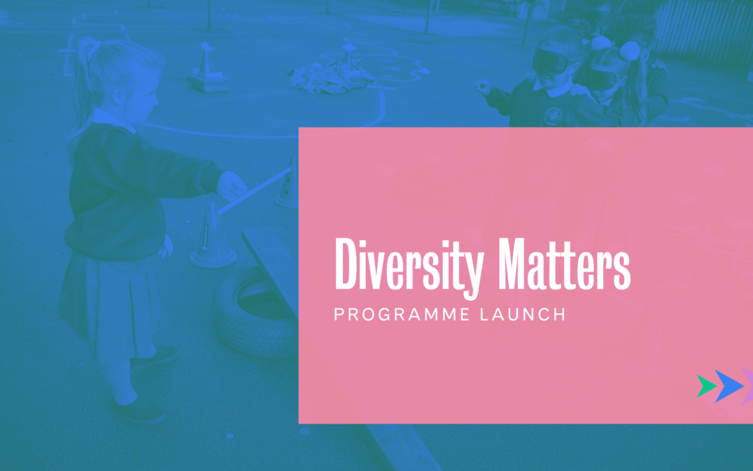Diversity Programme Launch